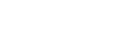 Fidelity