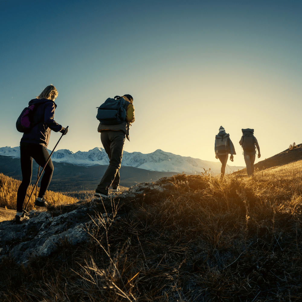 Leadership Development Planning for Human Centered Growth