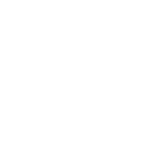 mmg